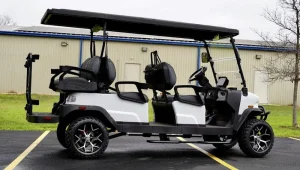 2025 Denago EV Rover XL 6 White for Sale25 (3)