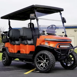 2025 Denago EV Rover XL 6 for Sale27 (1)