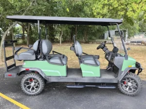 2025 Denago EV Rover XL 6 for Sale76 (10)