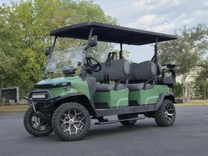 2025 Denago EV Rover XL 6 for Sale76 (11)