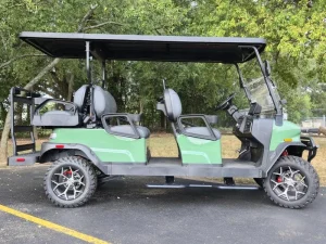 2025 Denago EV Rover XL 6 for Sale76 (2)