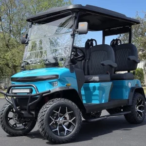 2025 Denago EV Rover XL Aqua Blue for Sale (1)