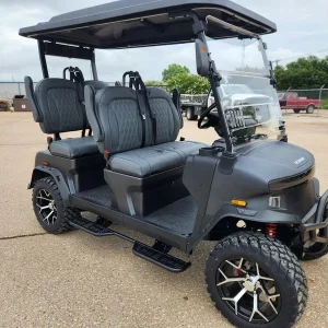 2025 Denago EV Rover XL Black for Sale (1)