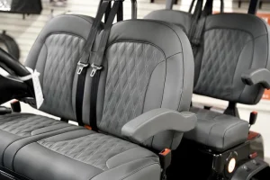 2025 Denago EV Rover XL Black for Sale 17 (4)