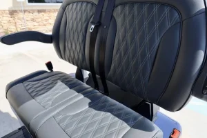 2025 Denago EV Rover XL Blue 11 (3)