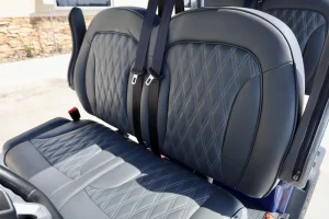 2025 Denago EV Rover XL Blue for Sale (7)