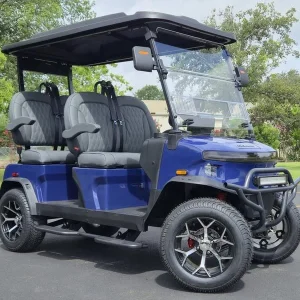 2025 Denago EV Rover XL Blue for Sale10 (1)