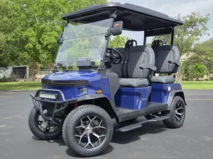 2025 Denago EV Rover XL Blue for Sale10 (2)
