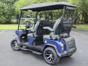 2025 Denago EV Rover XL Blue for Sale10 (3)