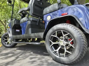 2025 Denago EV Rover XL Blue for Sale10 (8)