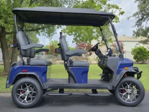 2025 Denago EV Rover XL Blue for Sale10 (9)