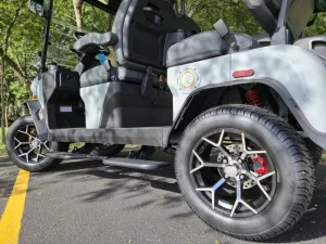 2025 Denago EV Rover XL Grey for Sale13 (16)