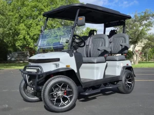 2025 Denago EV Rover XL Grey for Sale13 (3)