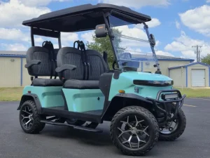 2025 Denago EV Rover XL for Sale 66 (3)