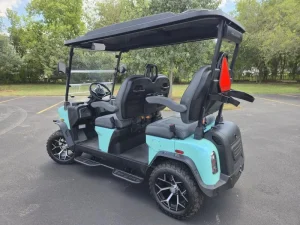 2025 Denago EV Rover XL for Sale 66 (4)