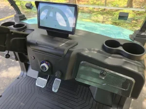 2025 Denago EV Rover XL for Sale 66 (6)