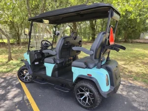 2025 Denago EV Rover XL for Sale 66 (8)