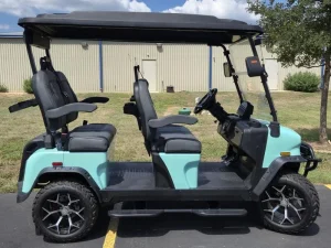 2025 Denago EV Rover XL for Sale 66 (9)