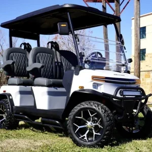 2025 Denago EV Rover XL for Sale white 19 (1)