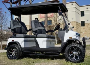 2025 Denago EV Rover XL for Sale white 19 (5)