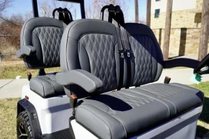 2025 Denago EV Rover XL for Sale white 19 (7)