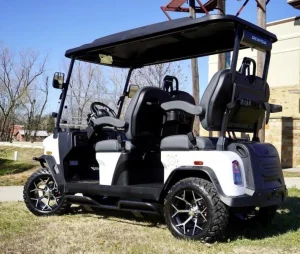 2025 Denago EV Rover XL for Sale white 19 (8)