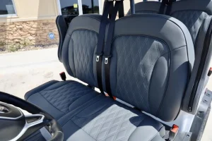 2025 Denago EV Rover XL for Sale white 22 (8)