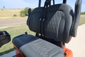 2025 Denago EV Rover XL for Sale10 (5)