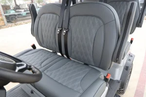 2025 Denago EV Rover XL for Sale27 (5)