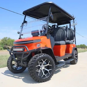 2025 Denago EV Rover XL for Sale55 (1)