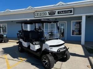 2025 Denago EV Rover XL6 for Sale85 (3)