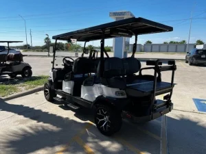 2025 Denago EV Rover XL6 for Sale85 (4)