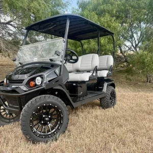 2025 E Z GO Black Liberty ELiTE for Sale (1)