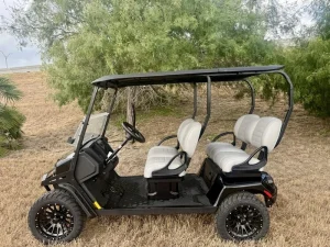 2025 E Z GO Black Liberty ELiTE for Sale (2)