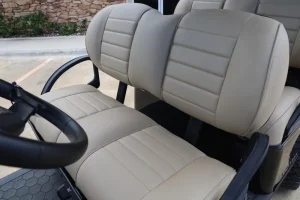 2025 E Z GO Express 6 EFI for Sale (4)