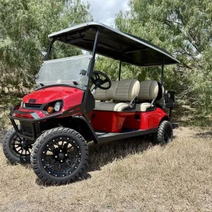 2025 E Z GO Express L6 Gas (1)