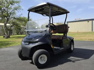 2025 E Z GO Freedom Black RXV ELiTE 2 2 for Sale (1)