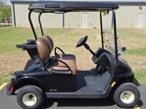 2025 E Z GO Freedom Black RXV ELiTE 2 2 for Sale (2)