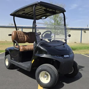 2025 E Z GO Freedom Black RXV ELiTE 2 2 for Sale (3)