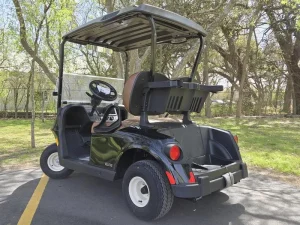 2025 E Z GO Freedom Black RXV ELiTE 2 2 for Sale (4)