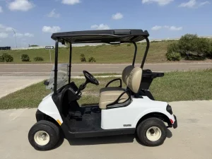 2025 E Z GO Freedom RXV (6)