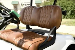 2025 E Z GO Freedom RXV ELiTE 2 2 Lithium for Sale (6)