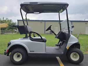 2025 E Z GO Freedom RXV ELiTE 2 2 PlatinumSilver for Sale (2)