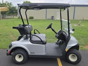 2025 E Z GO Freedom RXV ELiTE 2 2 PlatinumSilver for Sale (5)