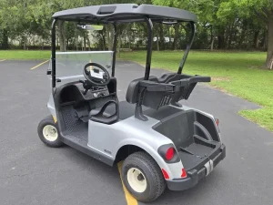 2025 E Z GO Freedom RXV ELiTE 2 2 PlatinumSilver for Sale (6)