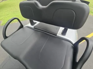 2025 E Z GO Freedom RXV ELiTE 2 2 PlatinumSilver for Sale (7)