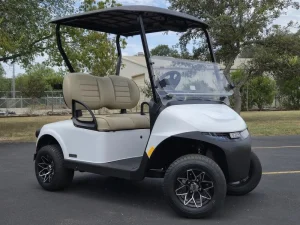 2025 E Z GO Freedom RXV ELiTE 2 2 White for Sale (2)