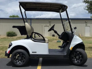 2025 E Z GO Freedom RXV ELiTE 2 2 White for Sale (5)