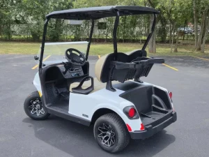 2025 E Z GO Freedom RXV ELiTE 2 2 White for Sale (6)