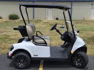 2025 E Z GO Freedom RXV ELiTE 2 2 White for Sale (8)